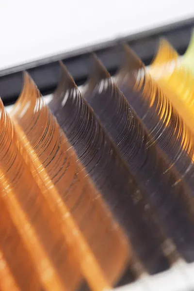 通常のメニューやお得なクーポンなど